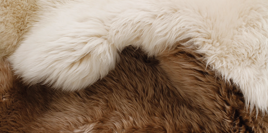 〈冬仕度におすすめの一枚〉NATURES COLLECTIONのシープスキン