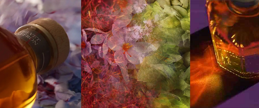 11月におすすめの香り｜DR.VRANJES