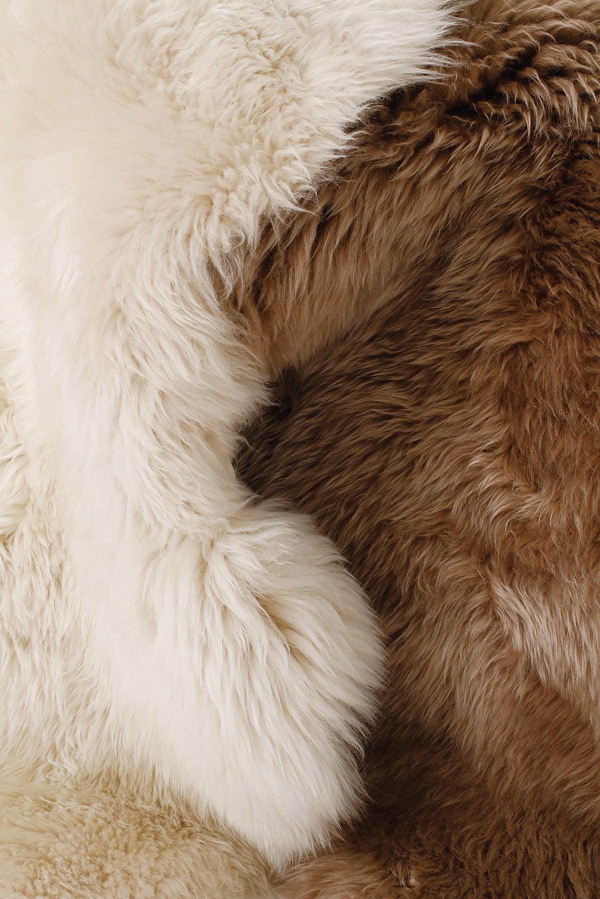 NATURES COLLECTION（ネイチャーズ コレクション）/ SHEEP SKIN